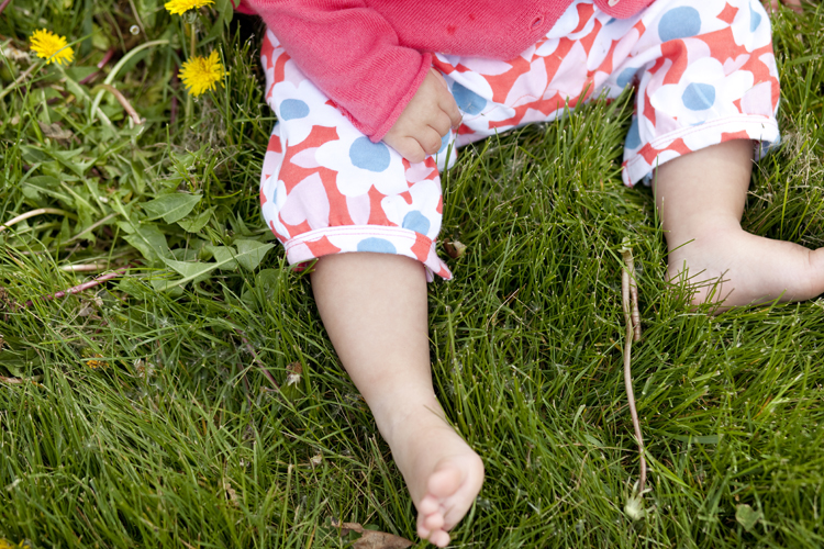 Wirth Park baby session 16