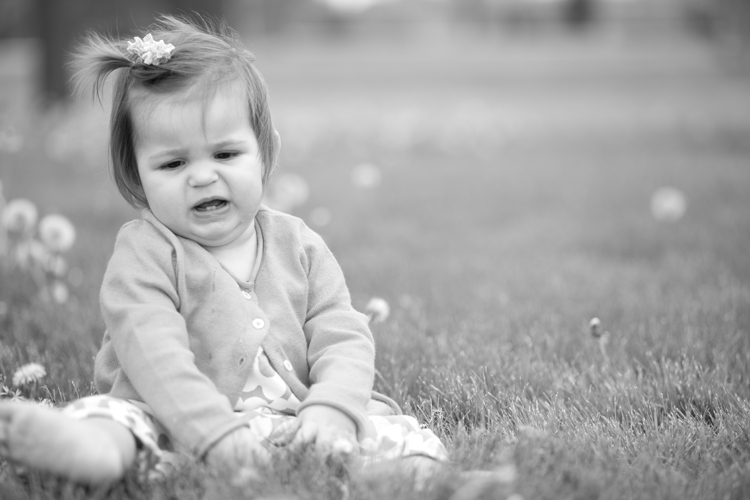 Wirth Park baby session 17