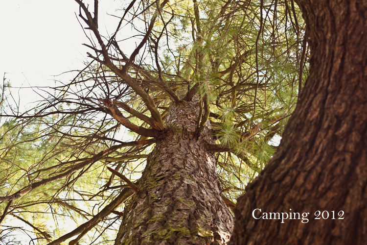 Camping 2012 1