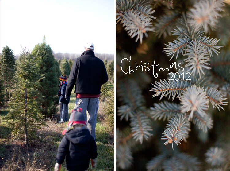 Christmas 2012 1